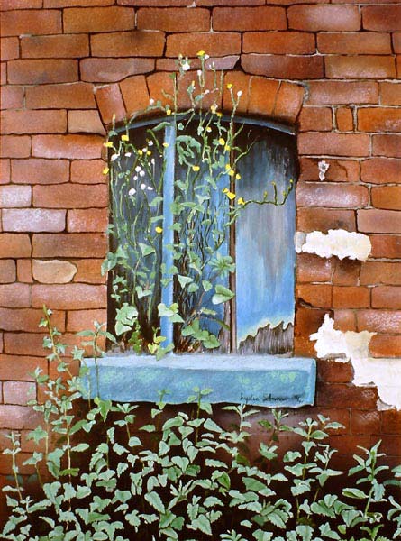 Shardlow Window Overgrown